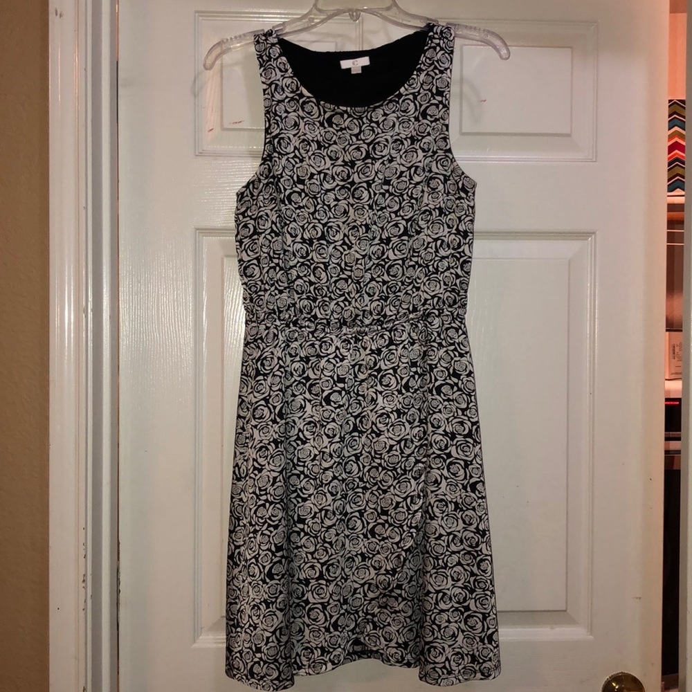 Charming Charlies Dress